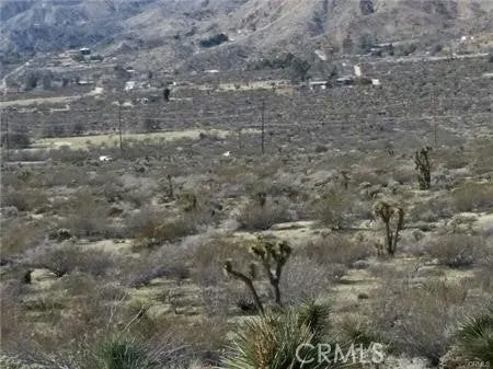 0 29 Palms Highway