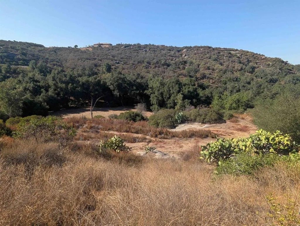 Photo of 18868 Paradise Mountain, Valley Center, CA 92082 (MLS # NDP2508991)