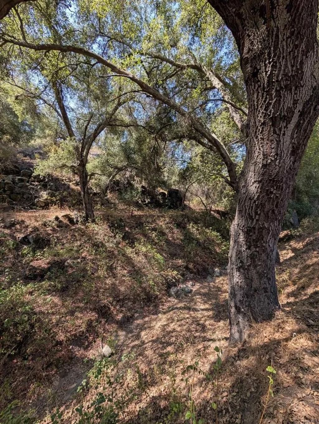 Photo of 18868 Paradise Mountain, Valley Center, CA 92082 (MLS # NDP2508991)