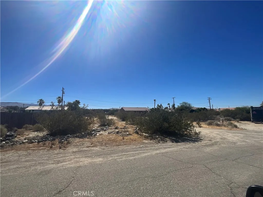 0 Ocotillo