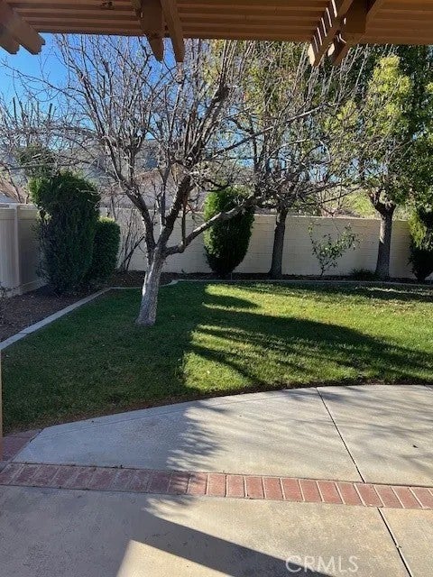 5888 Orange Tree
