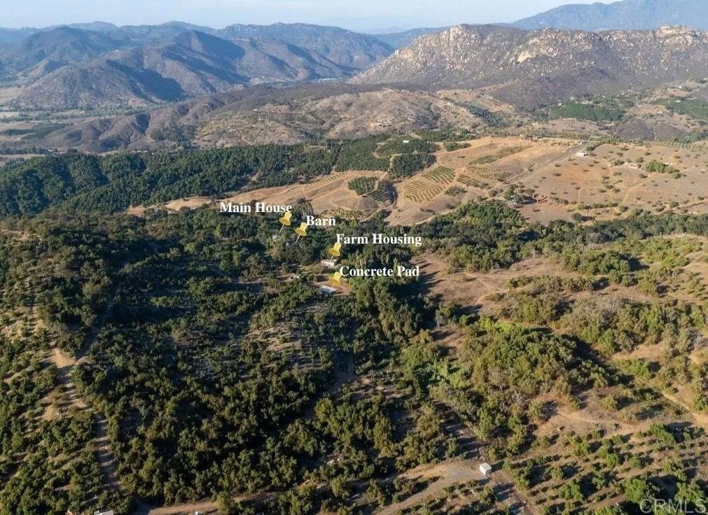 10975 Old Oak Holler