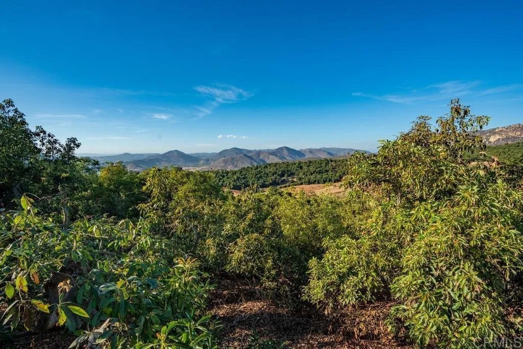 10975 Old Oak Holler