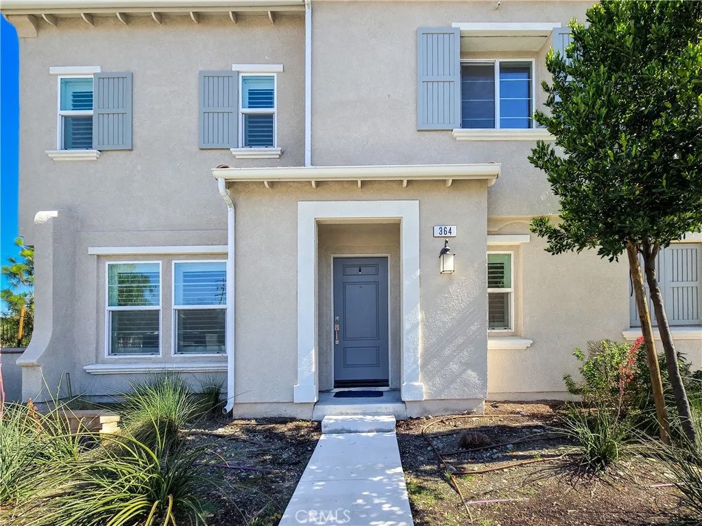 7155 Citrus 364
