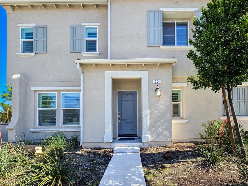 7155 Citrus 364