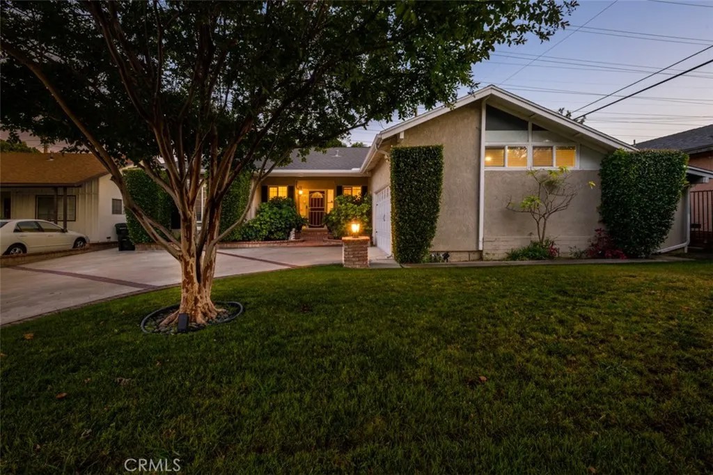 16336 Kalisher