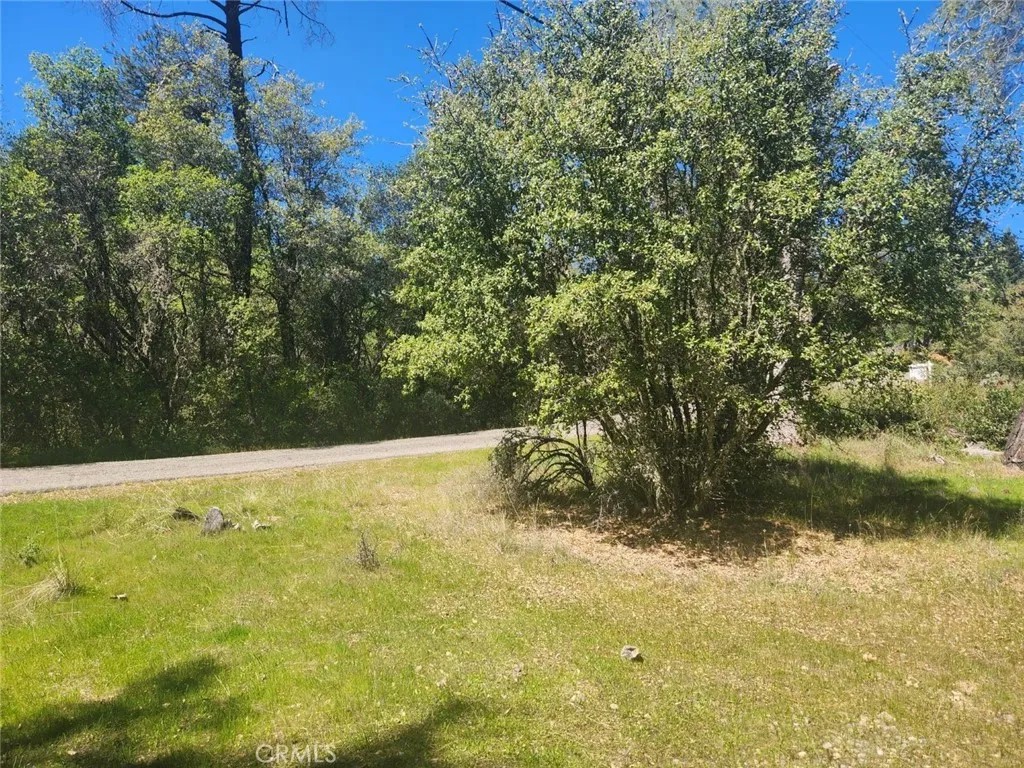 13903 Ingersoll