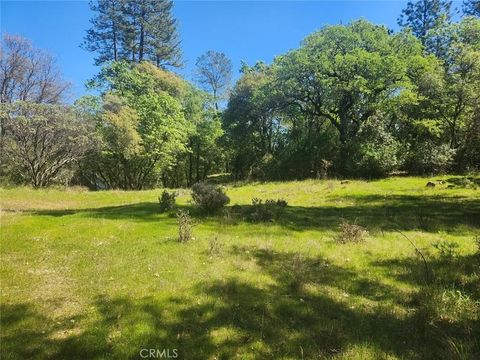 13903 Ingersoll Dobbins CA 95935