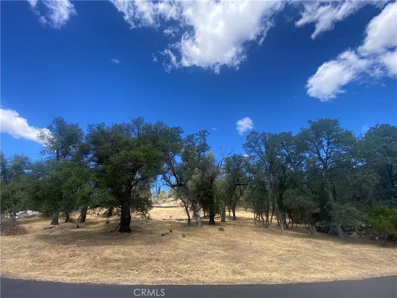 20393 Powder Horn
