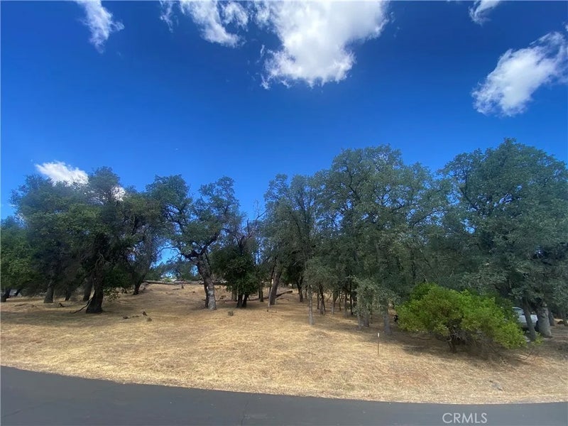 20393 Powder Horn