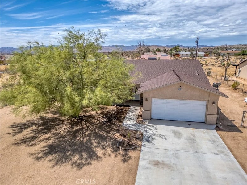 58333 Campanula Street