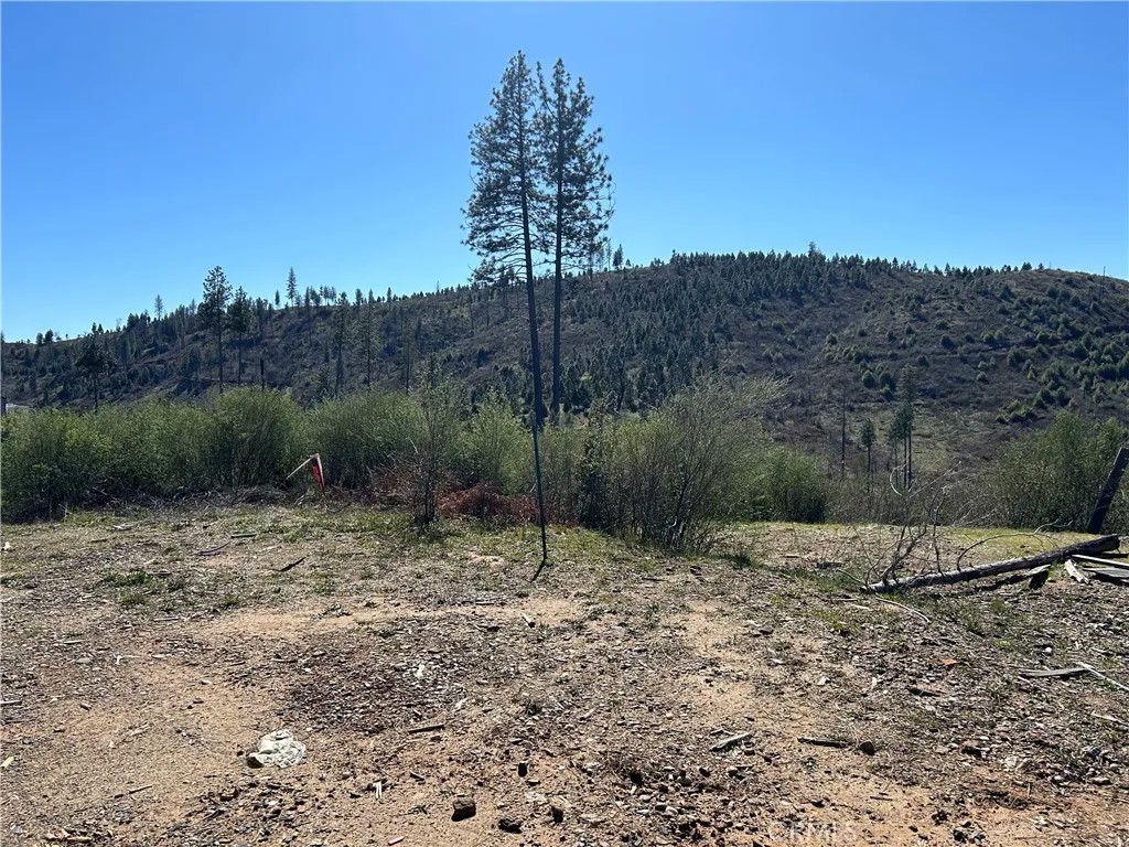 1234 Hog Ranch Rd