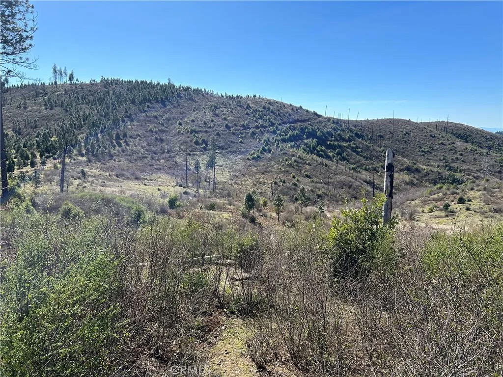 1234 Hog Ranch Rd