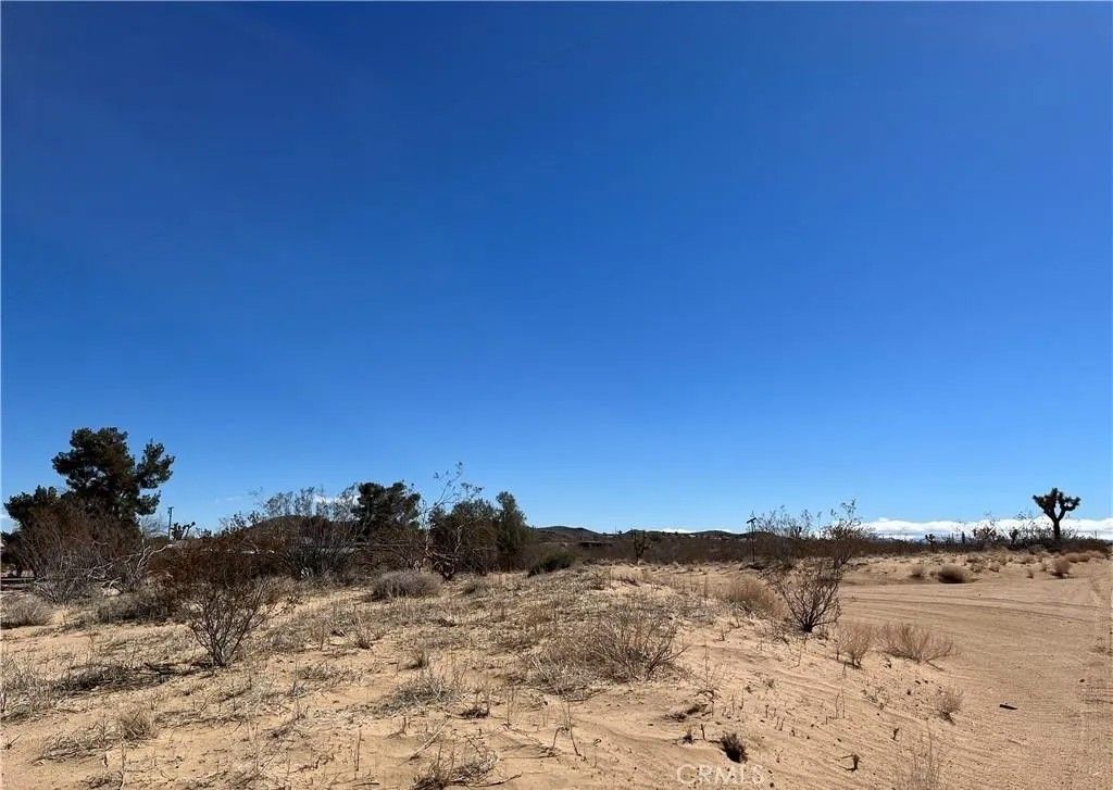 Photo of 0 Balsa, Landers, CA 92285 (MLS # IG25279253)