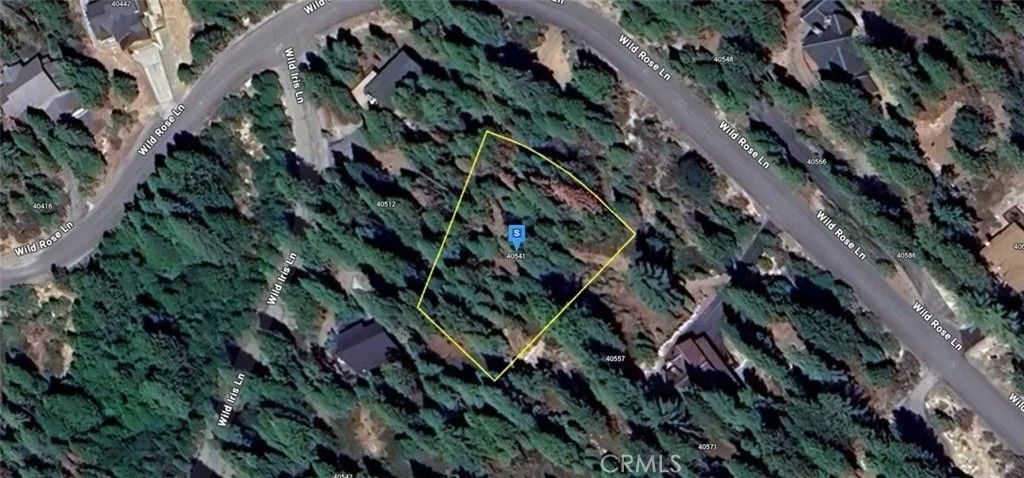 Photo of 40541 Wild Rose Ln, Shaver Lake, CA 93664 (MLS # AR26011155)