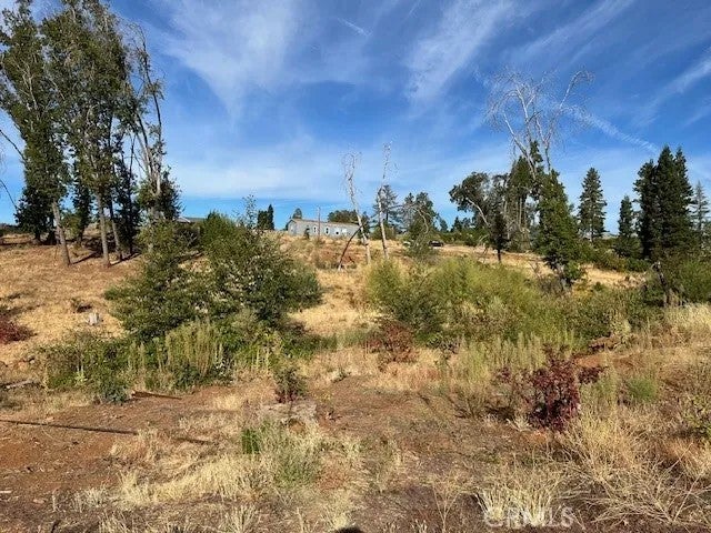 5709 Middle Libby