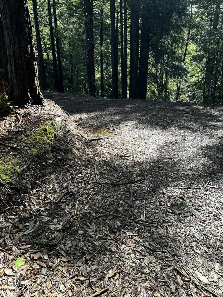 17500 Redwood Springs