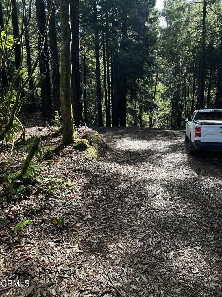 17500 Redwood Springs
