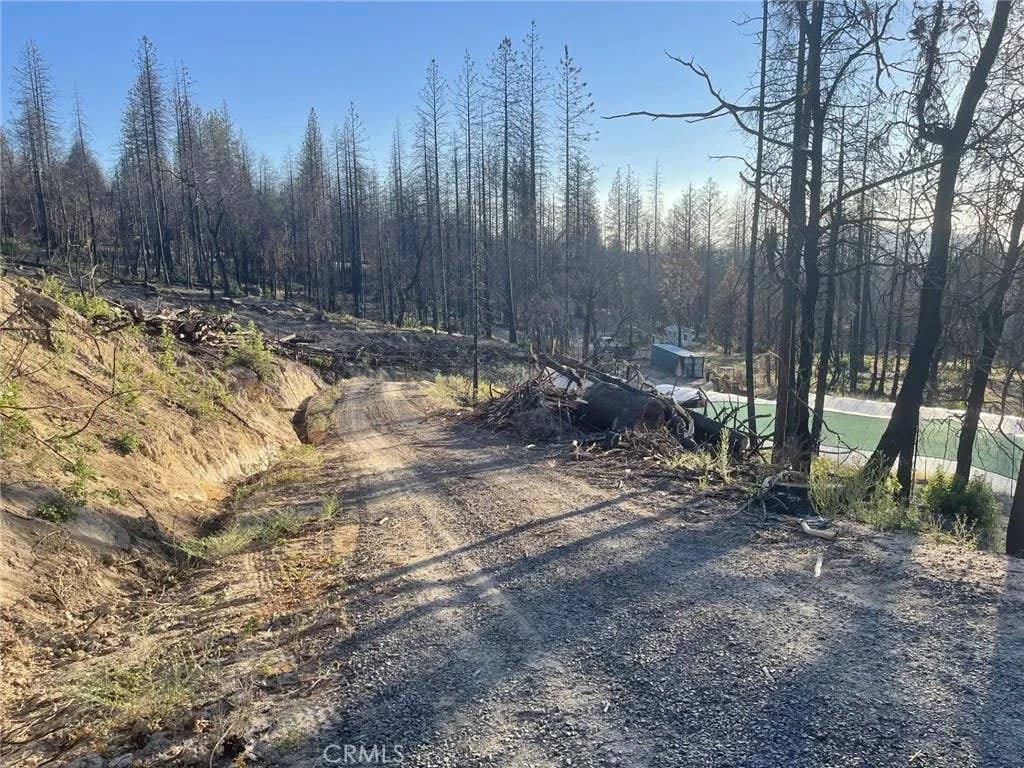 Photo of 2701 Bald Rock RD, Berry Creek, CA 95916 (MLS # SN26155062)