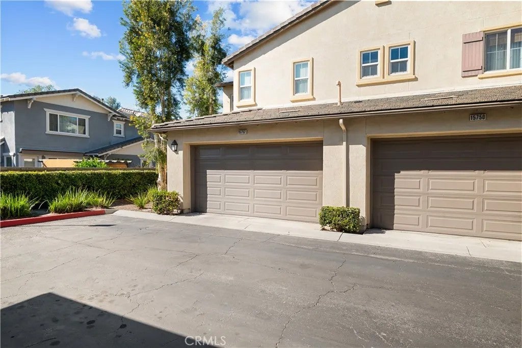 15752 Agave