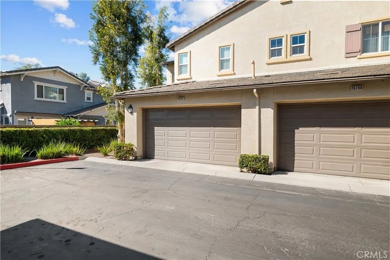 15752 Agave