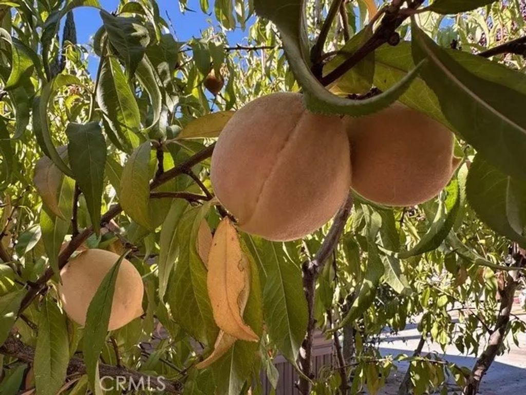 Photo of 913 S Grand Ave #172, San Jacinto, CA 92582 (MLS # IG25257889)