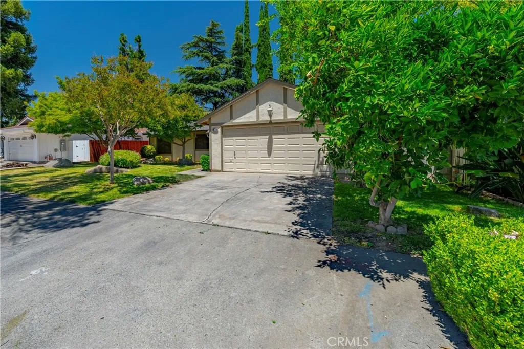 1445 Cameron Lane