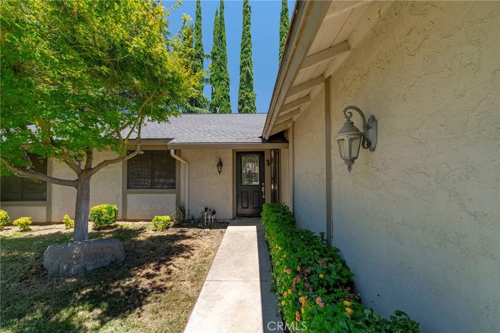 1445 Cameron Lane