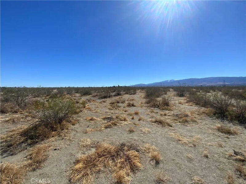 2975 Yucca Terrace