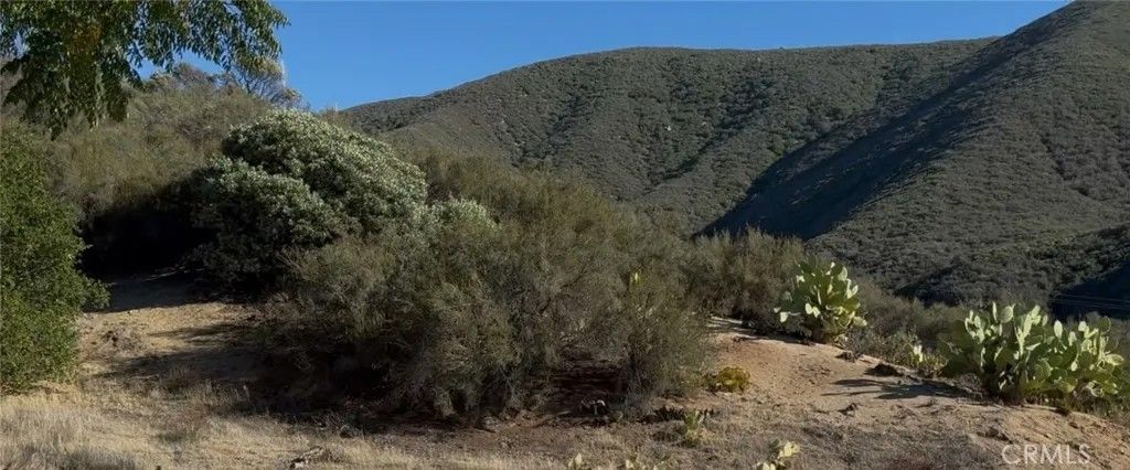 Photo of 0 Vac/San Francisquito Cyn, Green Valley, CA 91350 (MLS # SR25273223)