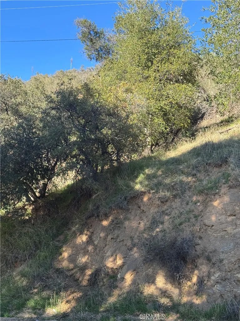 0 VAC/SAN FRANCISQUITO CYN