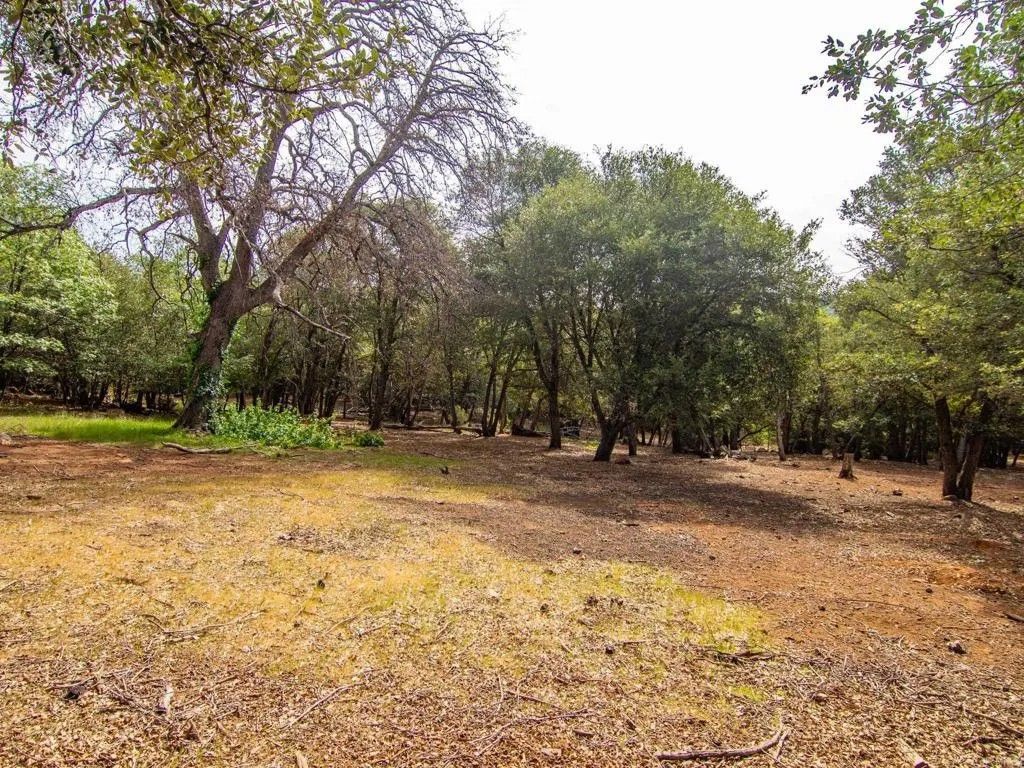 Photo of 0 Luneta Drive, Julian, CA 92036 (MLS # NDP2603269)