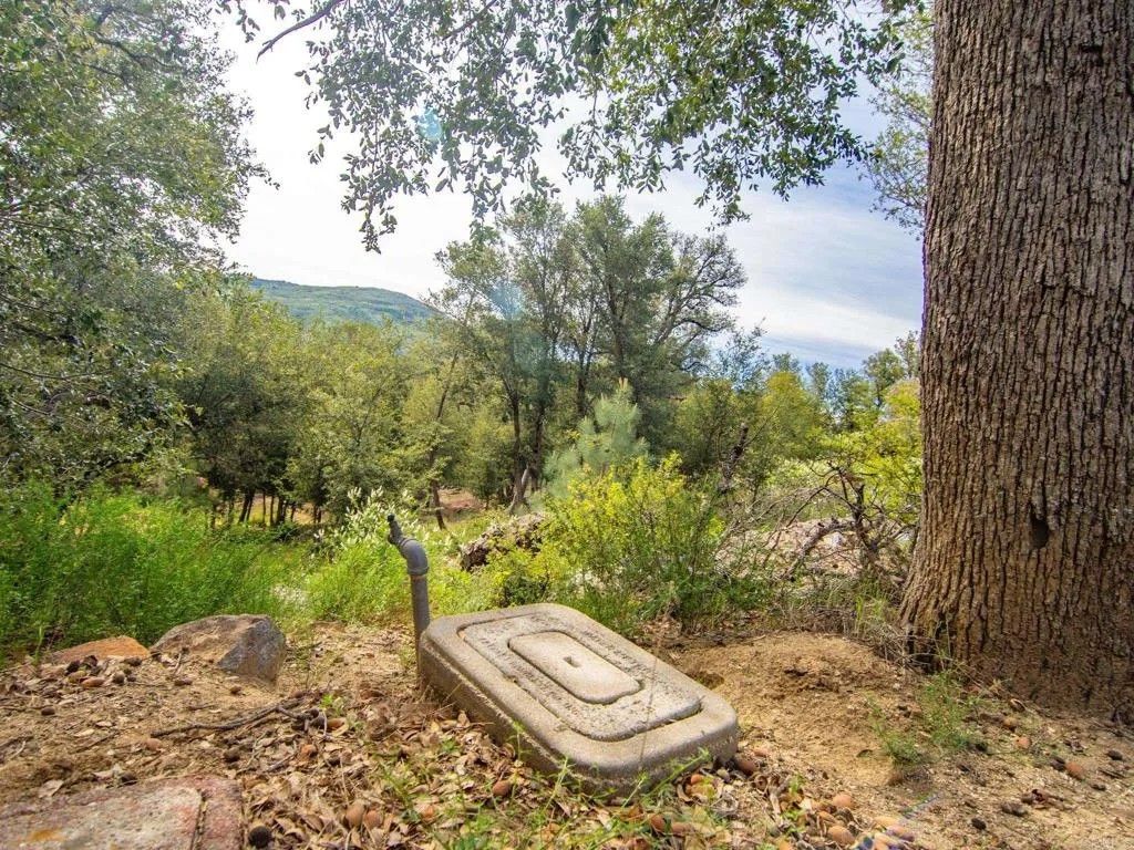 Photo of 0 Luneta Drive, Julian, CA 92036 (MLS # NDP2603269)