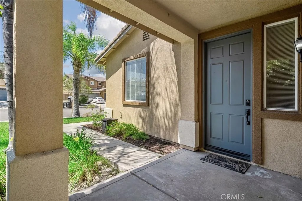 15446 Buchanan