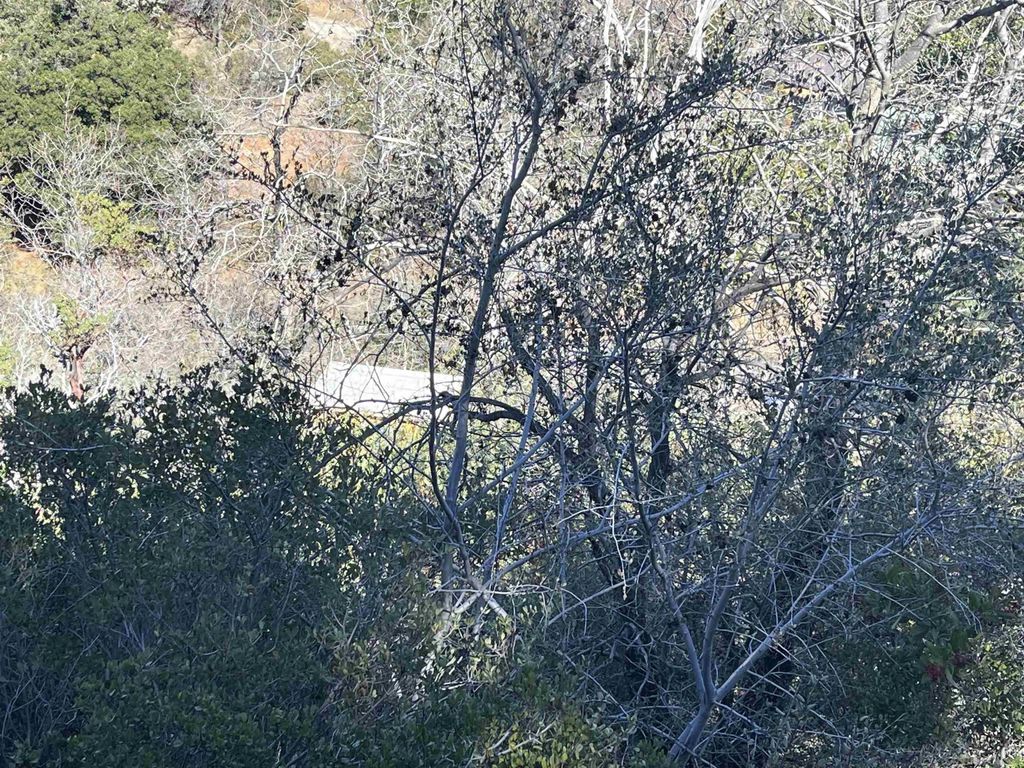 Photo of 0 Banner View Dr, Julian, CA 92036 (MLS # 250044208)