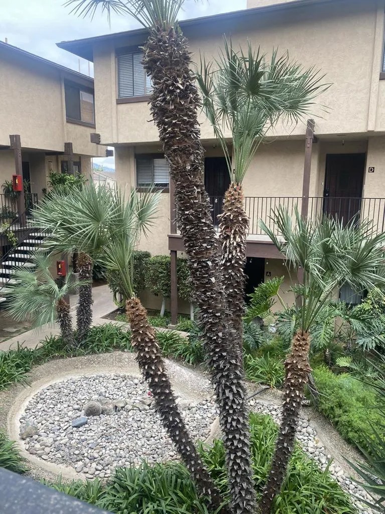 1170 Decker Street D