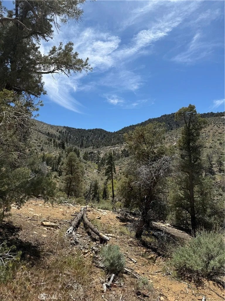 0 310-040-017 Pine Creek Valley