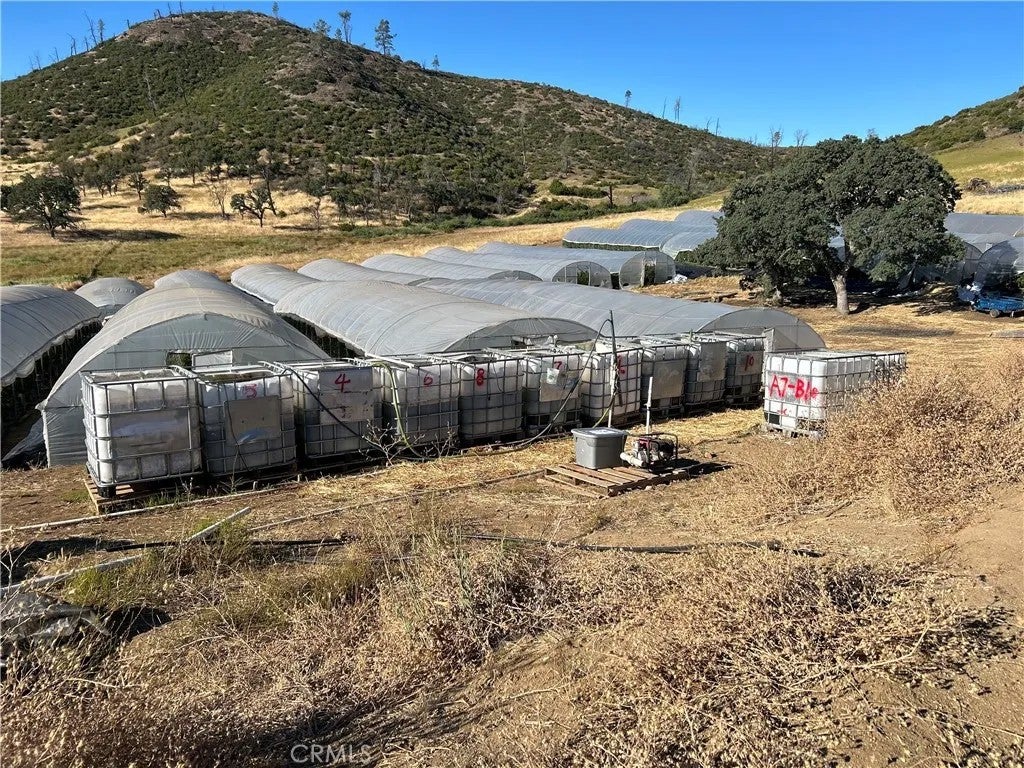 25432 Jerusalem Grade