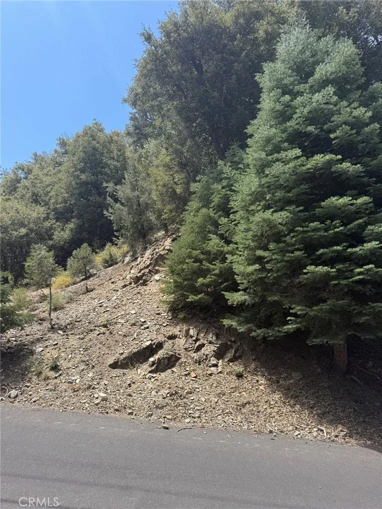 Photo of 1313 Bernina Dr, Pine Mountain Club, CA 93222 (MLS # SR26186545)
