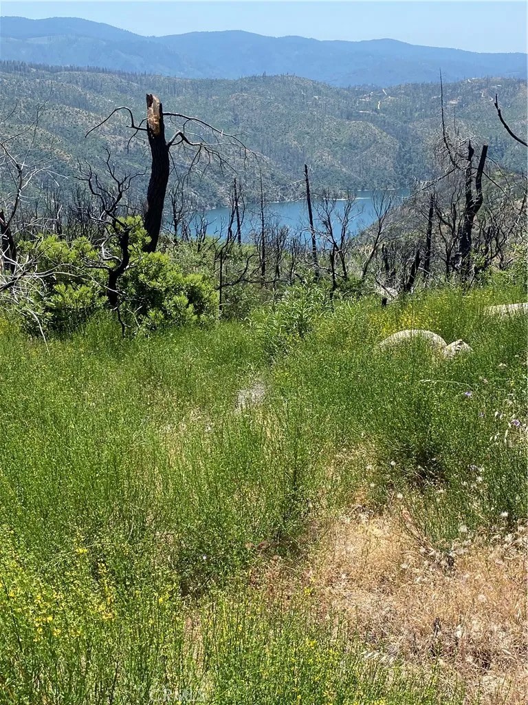 315 Harrison Springs