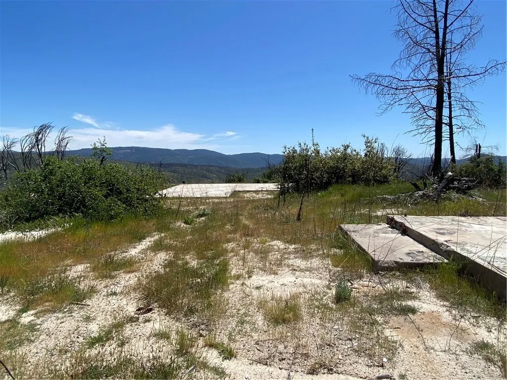 315 Harrison Springs