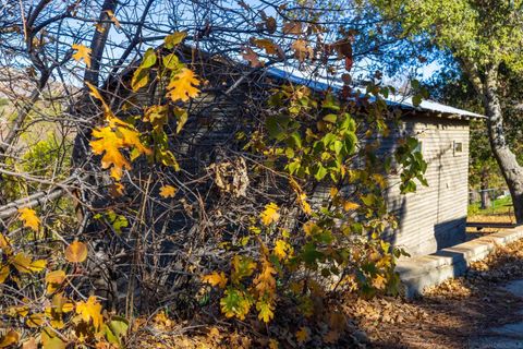 Tiny photo for 2327 Banner Dr, Julian, CA 92036 (MLS # 250045710)