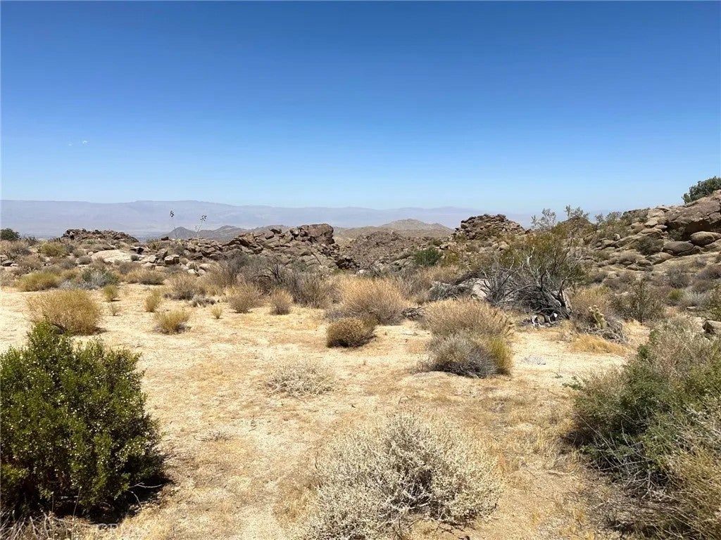 15 Desert Calico