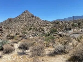 15 Desert Calico