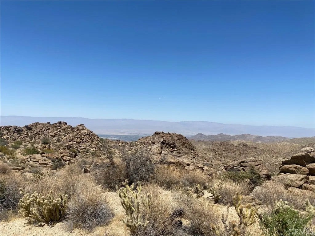15 Desert Calico