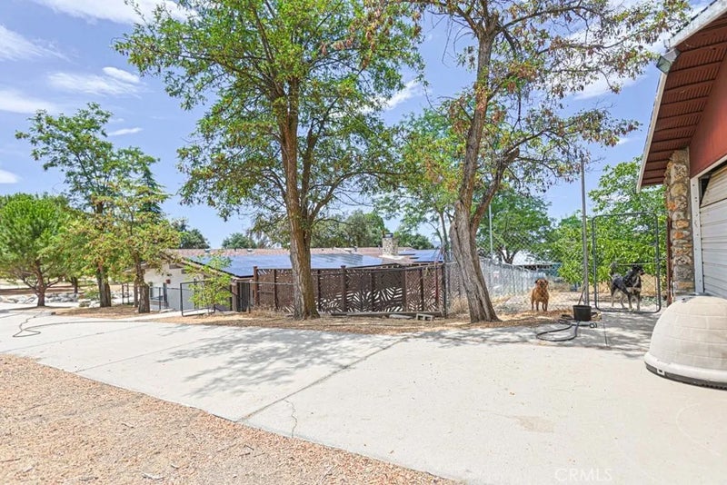38181 Valley Oak