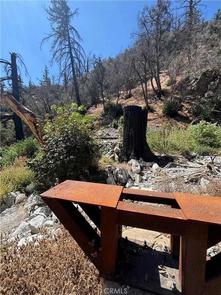 6675 Bear Canyon