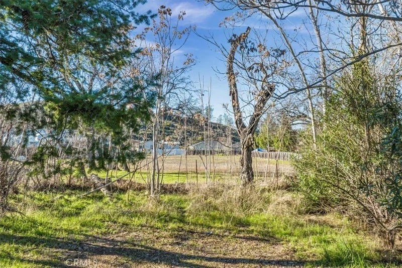 21265 Bush