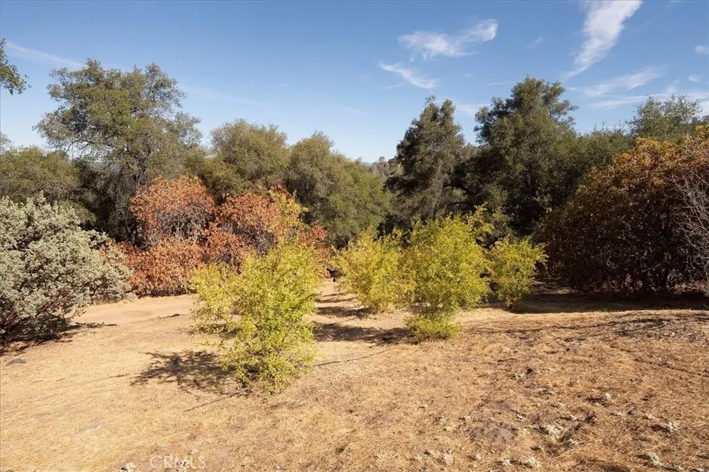 3279 Quail Run