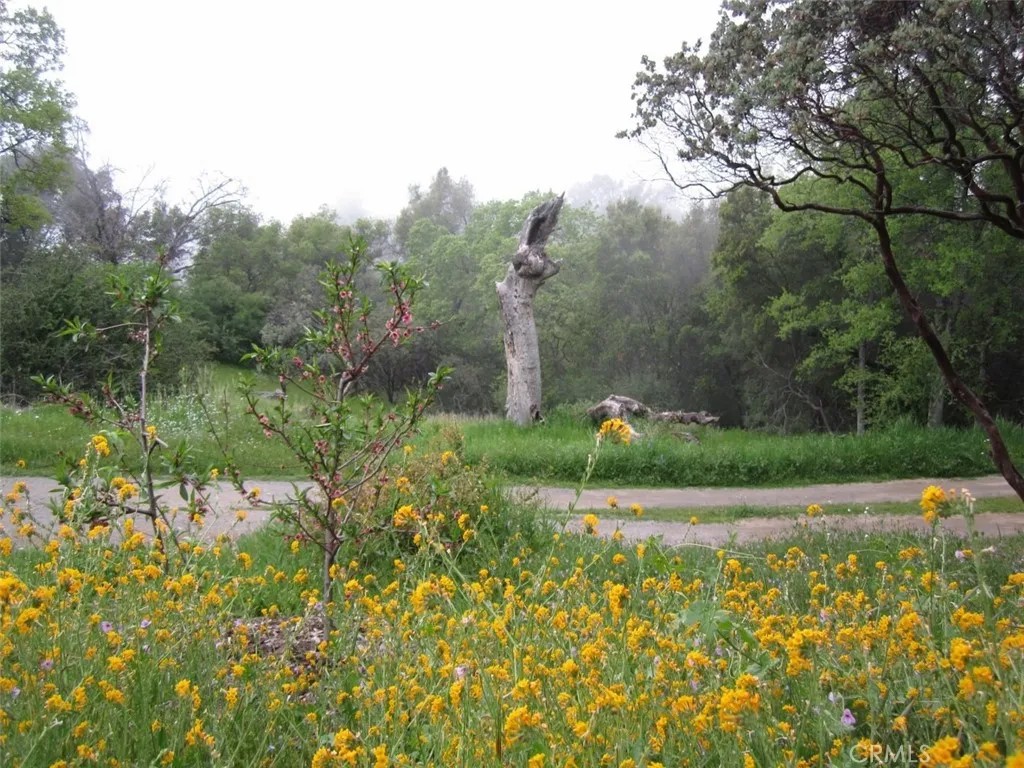 3279 Quail Run